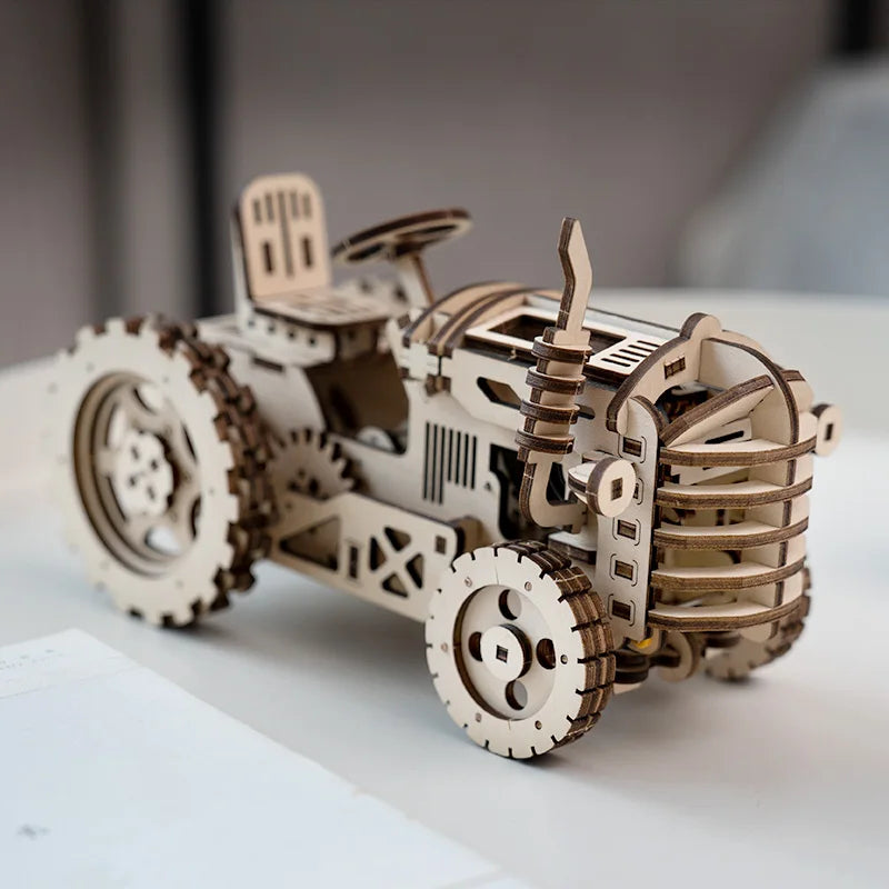 3D Wooden Puzzle