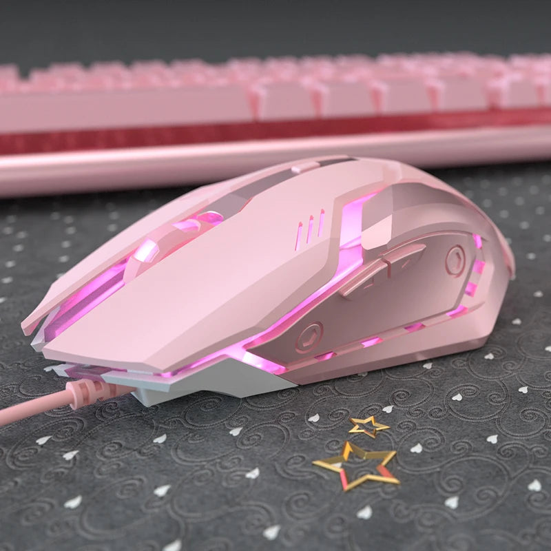 Gaming Mute Mouse Cute RGB Gamer