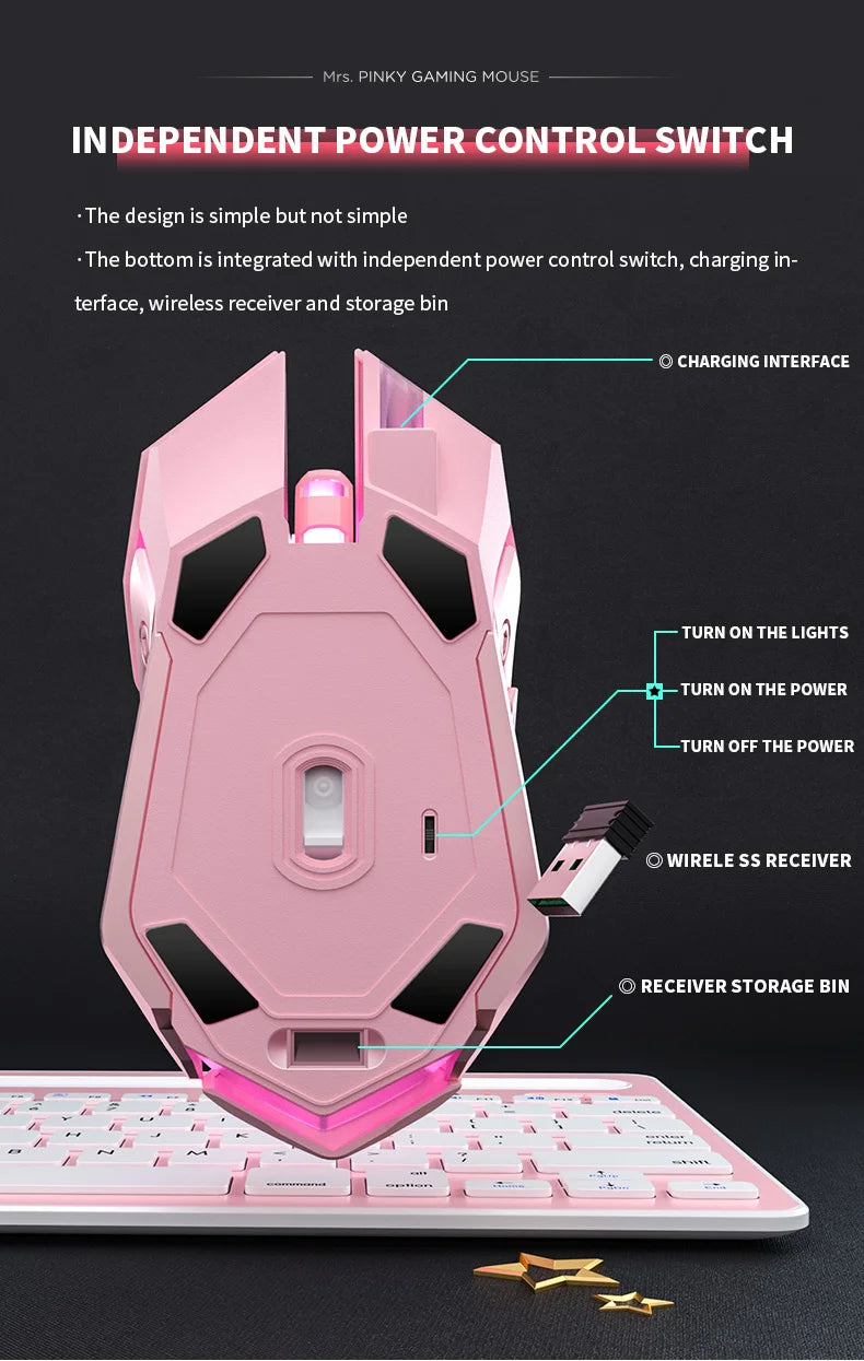 Gaming Mute Mouse Cute RGB Gamer