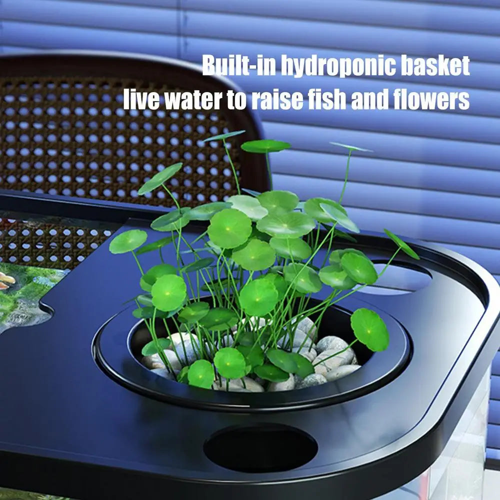 Aquarium Kit Small Betta Fish Tank