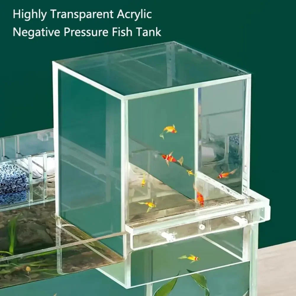 Landscaping  Fish Tank