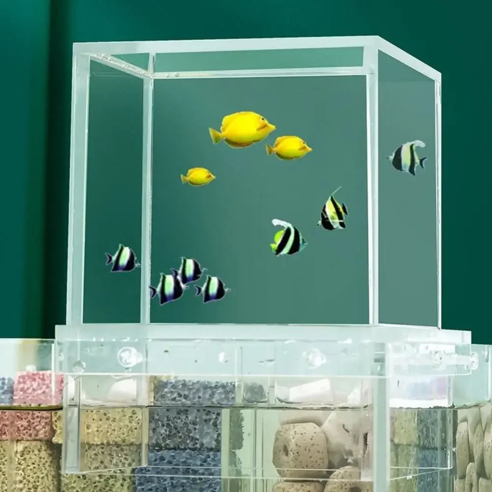 Landscaping  Fish Tank