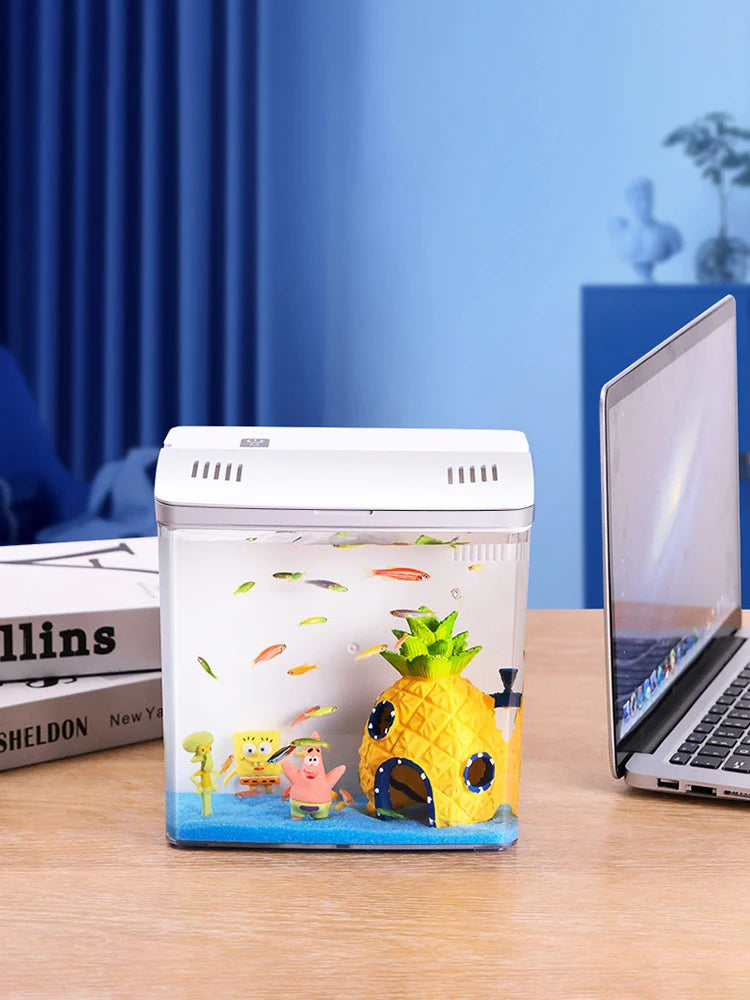 Household fish tank