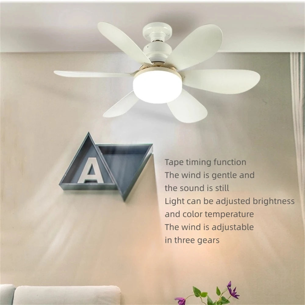Bright Fan