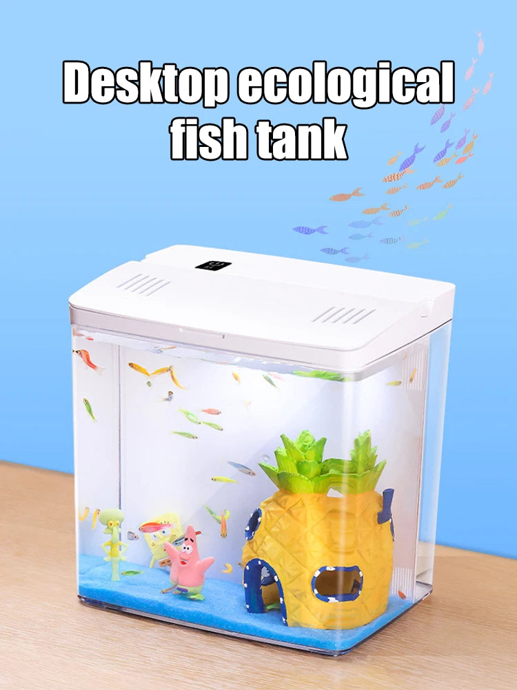 Household fish tank