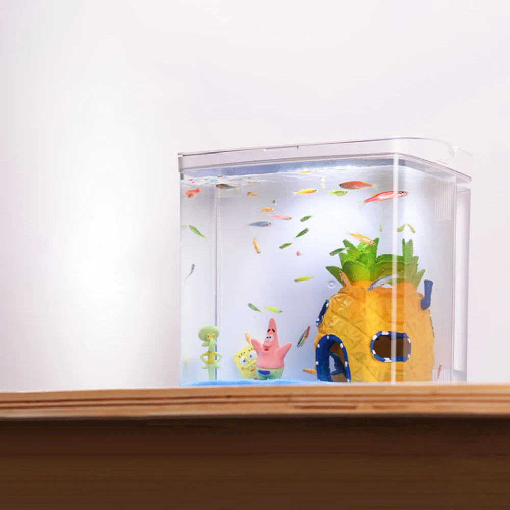 Household fish tank