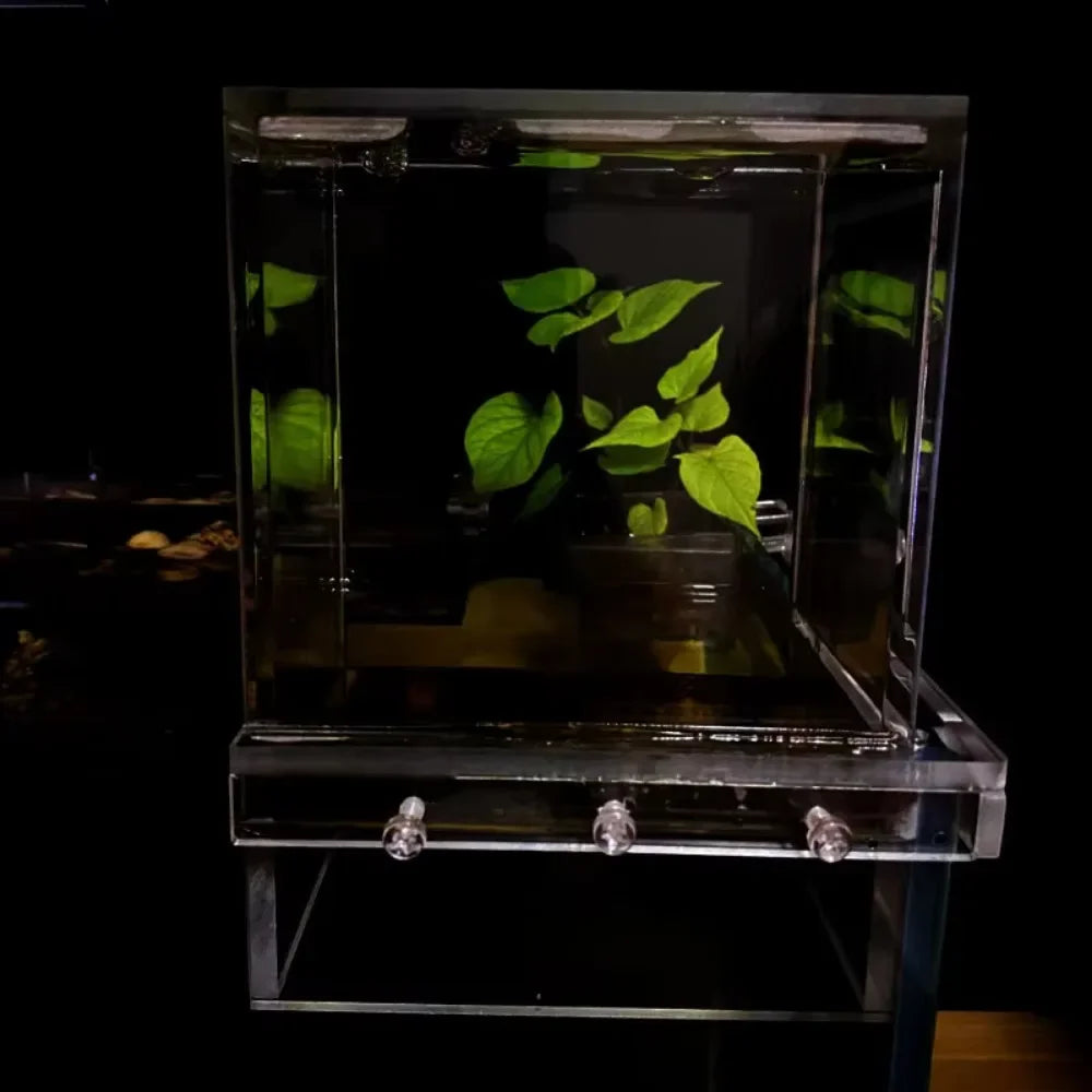 Landscaping  Fish Tank
