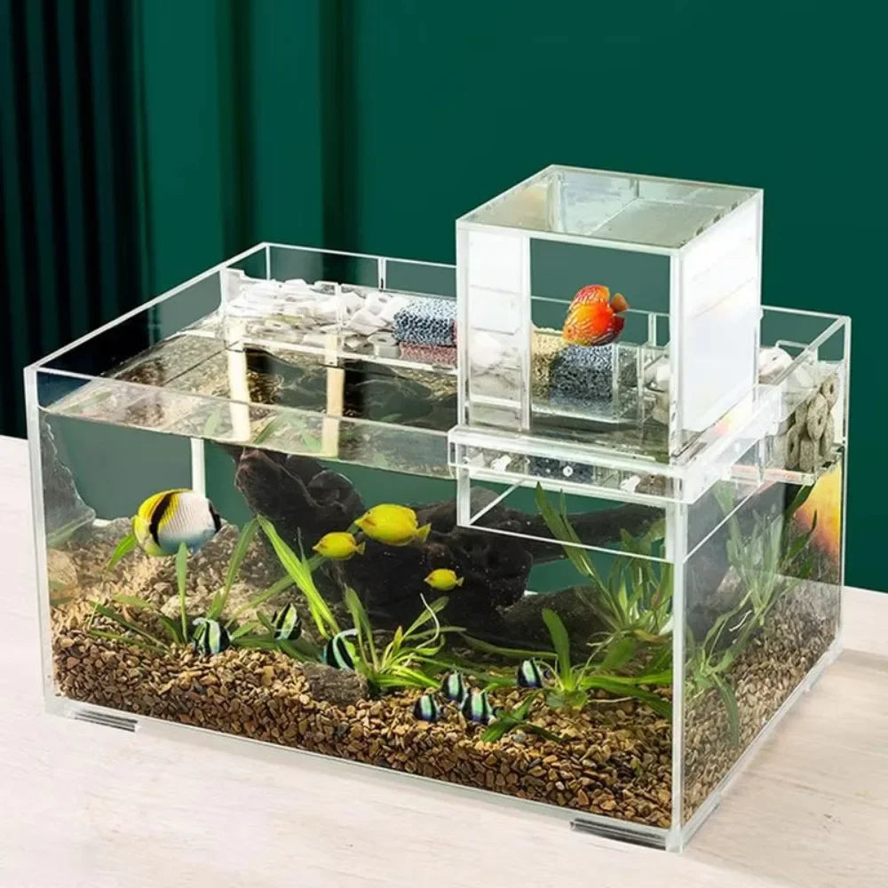 Landscaping  Fish Tank