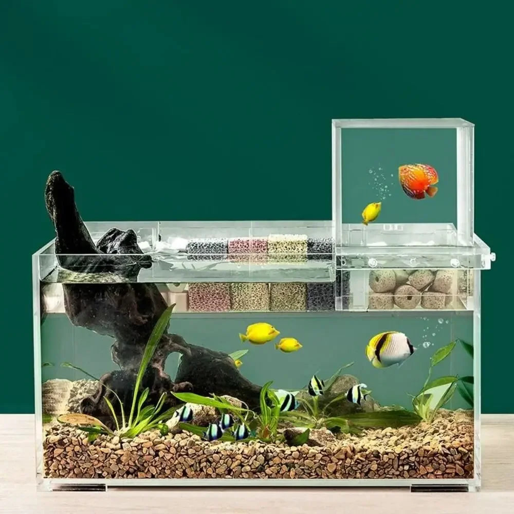 Landscaping  Fish Tank