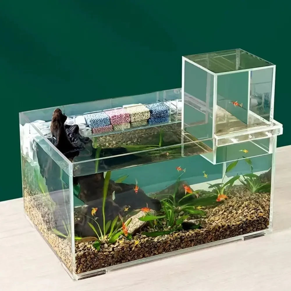 Landscaping  Fish Tank
