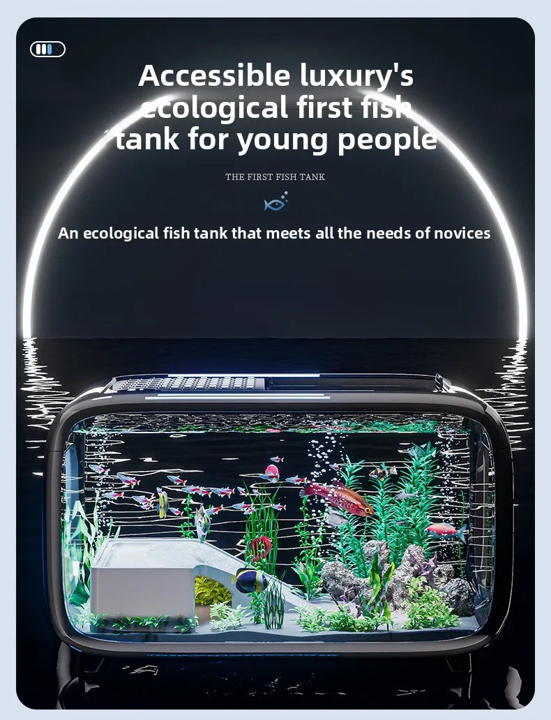 Luxury Fish Tank