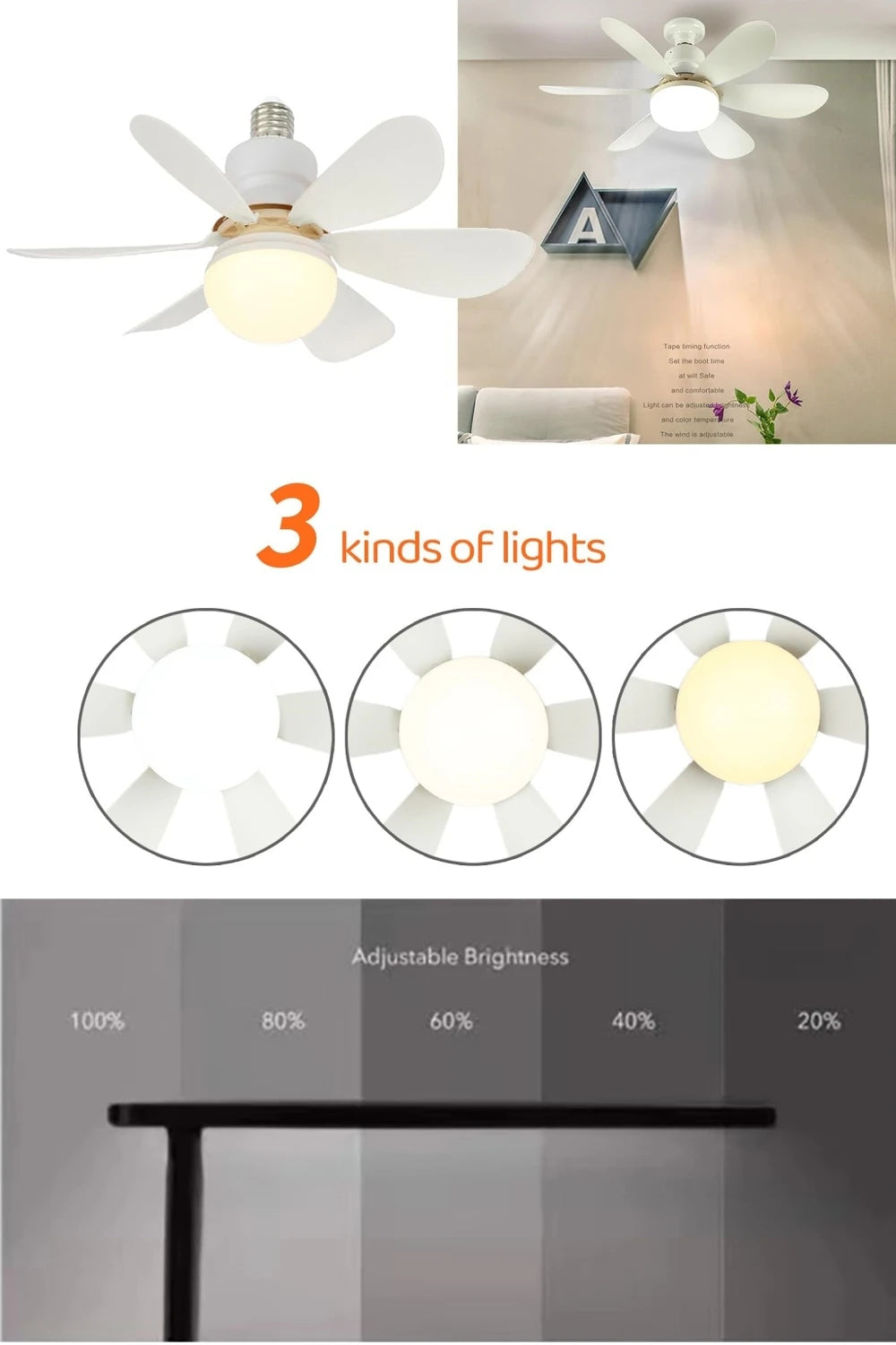 Bright Fan