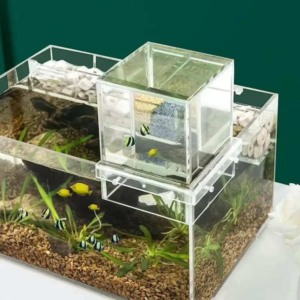 Landscaping  Fish Tank