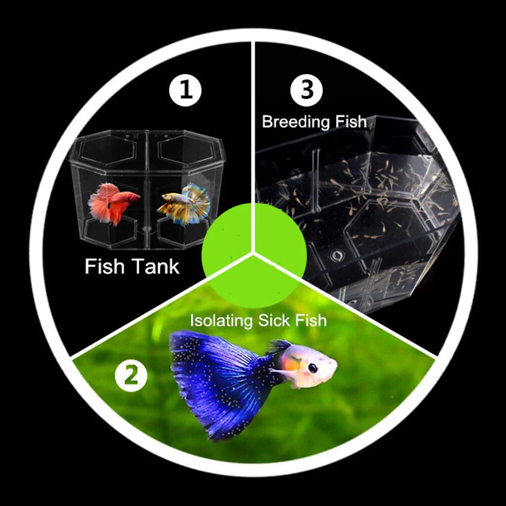 Acrylic Two Splits Guppy Fish Tank Aquarium