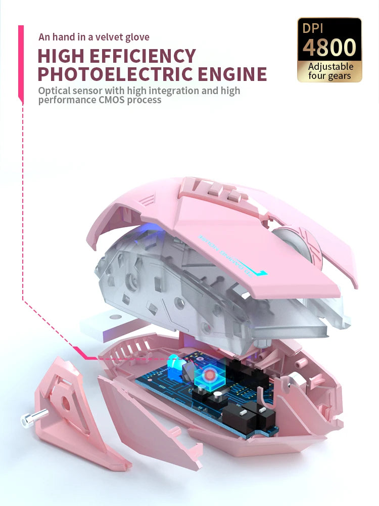 Gaming Mute Mouse Cute RGB Gamer