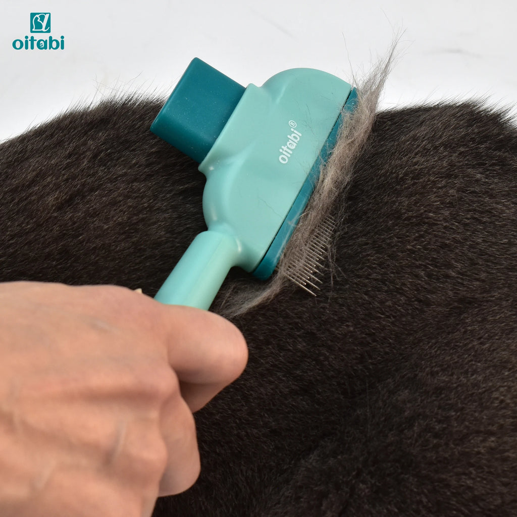 Clean Fur Comb