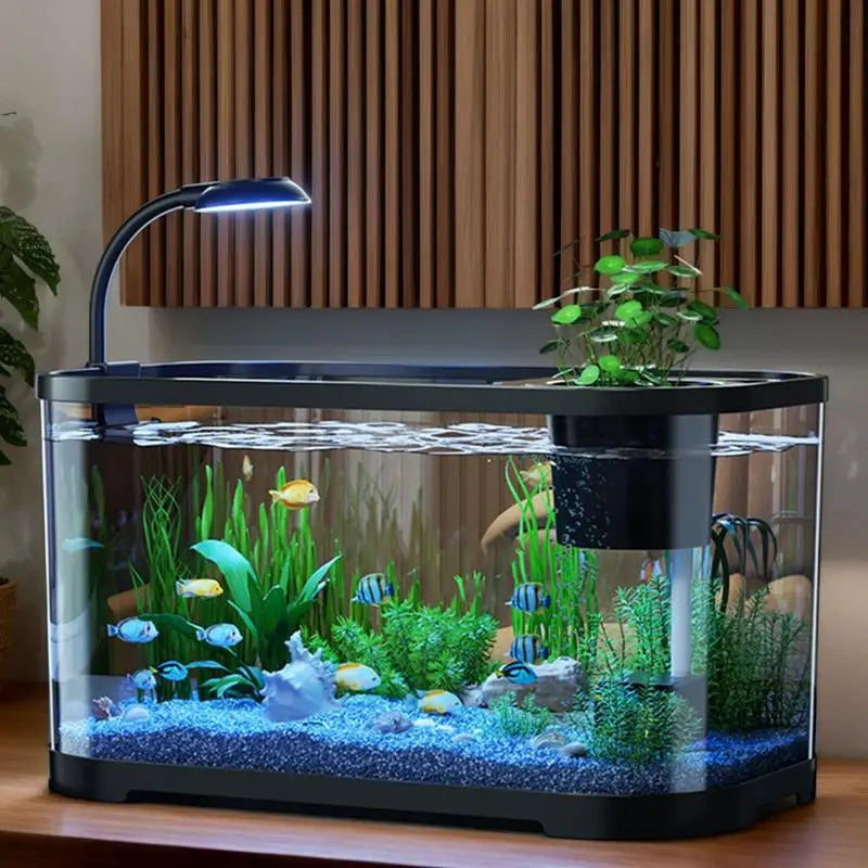 Aquarium Kit Small Betta Fish Tank